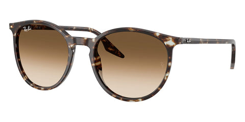 Ray-Ban RB 2204 1431/51 Sunglasses