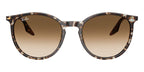 Ray-Ban RB 2204 1431/51 Sunglasses