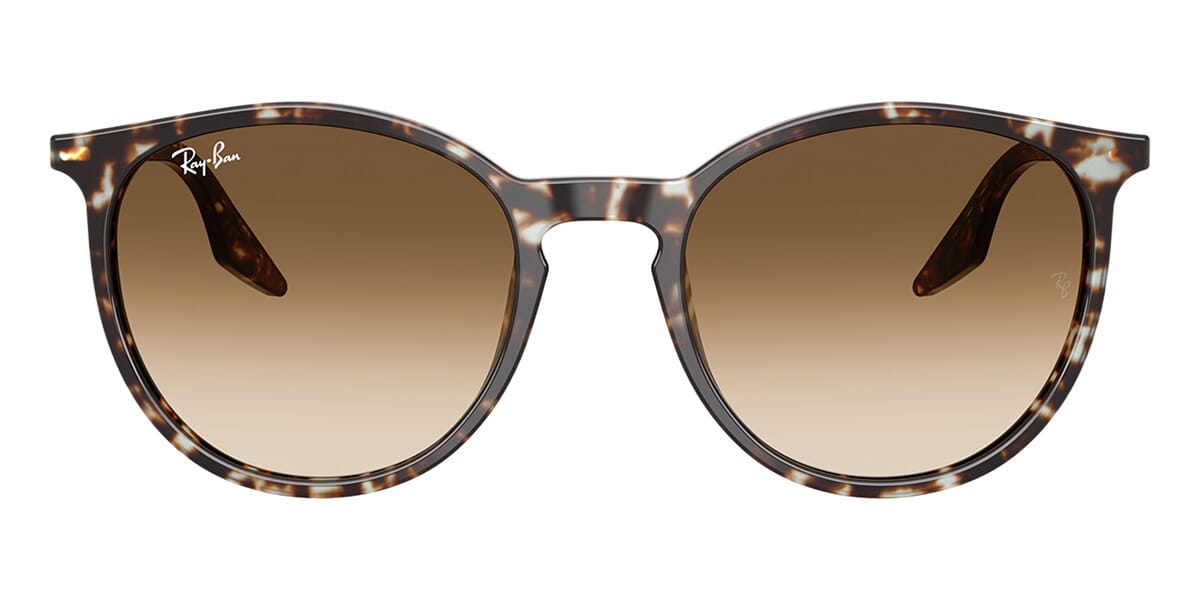 Ray-Ban RB 2204 1431/51 Sunglasses