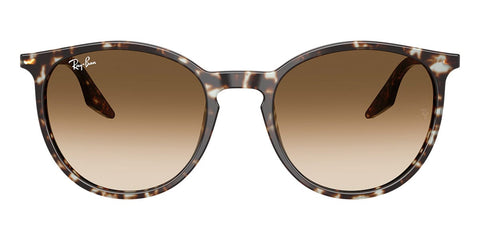 Ray-Ban RB 2204 1431/51 Sunglasses