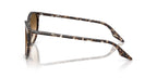 Ray-Ban RB 2204 1431/51 Sunglasses