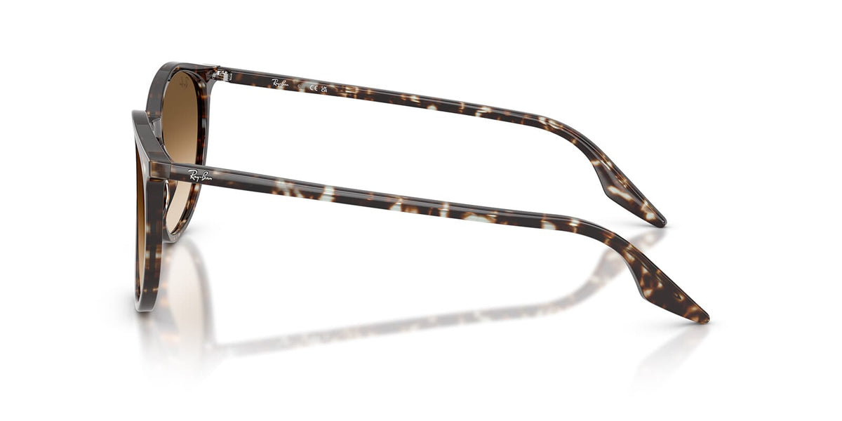 Ray-Ban RB 2204 1431/51 Sunglasses