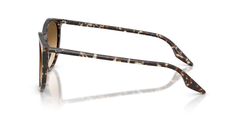 Ray-Ban RB 2204 1431/51 Sunglasses