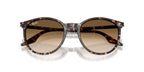 Ray-Ban RB 2204 1431/51 Sunglasses