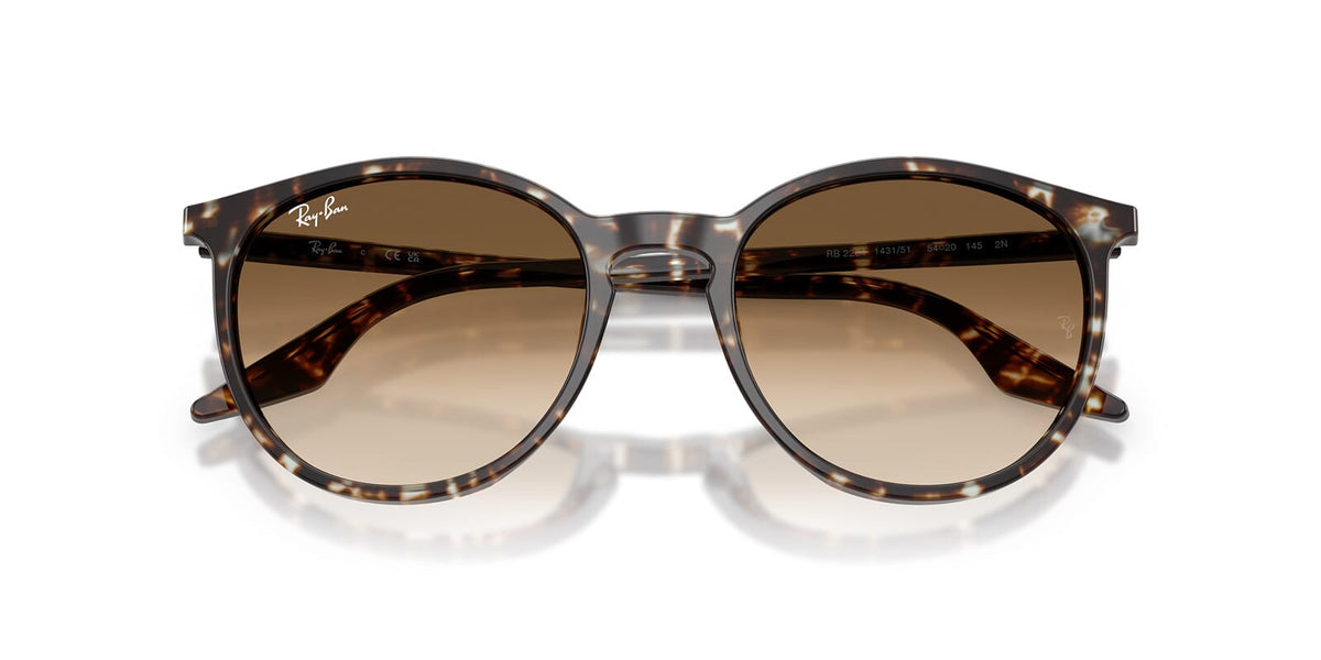Ray-Ban RB 2204 1431/51 Sunglasses