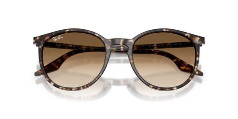Ray-Ban RB 2204 1431/51 Sunglasses
