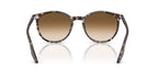 Ray-Ban RB 2204 1431/51 Sunglasses