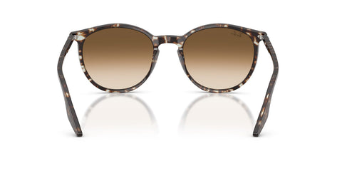Ray-Ban RB 2204 1431/51 Sunglasses