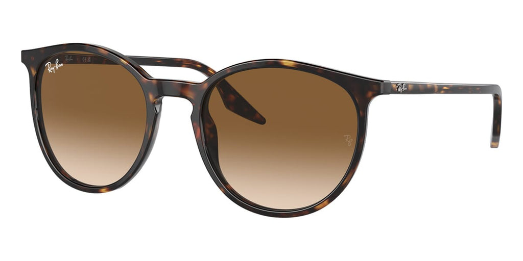 Ray-Ban RB 2204 902/51 Sunglasses