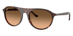 Ray-Ban RB 2215 1429/3B Sunglasses