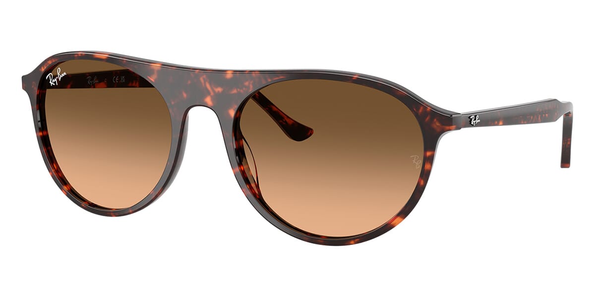 Ray-Ban RB 2215 1429/3B Sunglasses