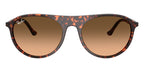 Ray-Ban RB 2215 1429/3B Sunglasses