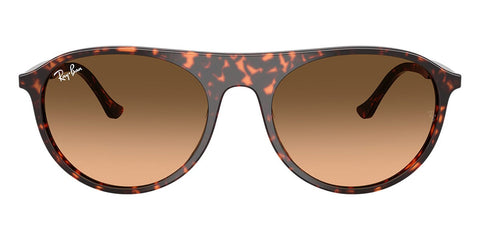 Ray-Ban RB 2215 1429/3B Sunglasses