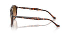 Ray-Ban RB 2215 1429/3B Sunglasses