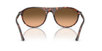 Ray-Ban RB 2215 1429/3B Sunglasses