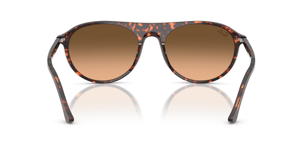 Ray-Ban RB 2215 1429/3B Sunglasses