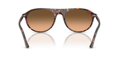 Ray-Ban RB 2215 1429/3B Sunglasses