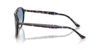 Ray-Ban RB 2215 1430/3F Sunglasses