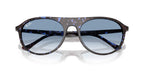 Ray-Ban RB 2215 1430/3F Sunglasses