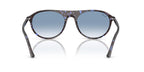 Ray-Ban RB 2215 1430/3F Sunglasses