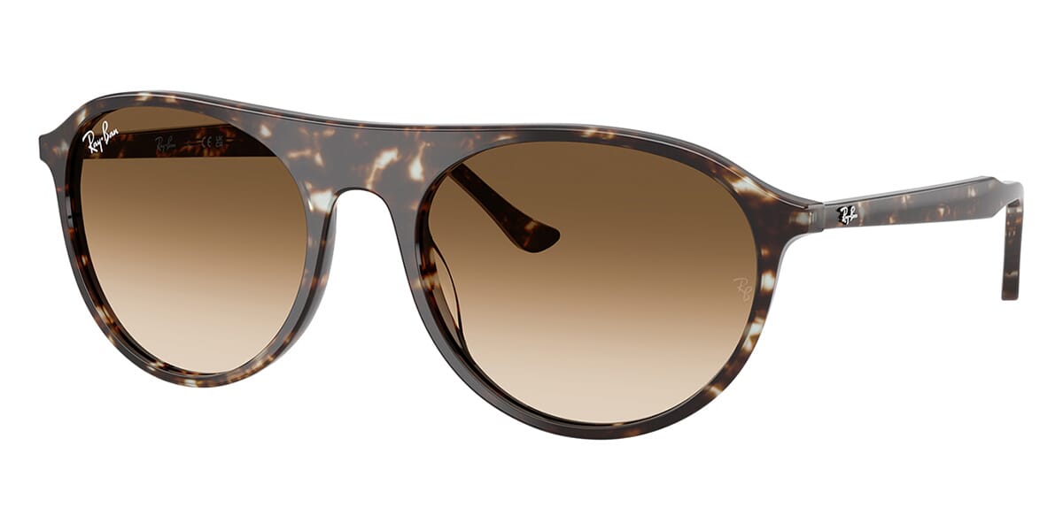 Ray-Ban RB 2215 1431/51 Sunglasses