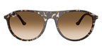 Ray-Ban RB 2215 1431/51 Sunglasses