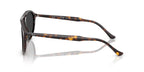 Ray-Ban RB 2215 902/48 Polarised Sunglasses