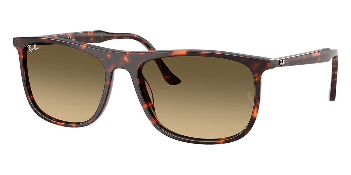Ray-Ban RB 2216 1429/0A Sunglasses