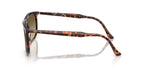 Ray-Ban RB 2216 1429/0A Sunglasses