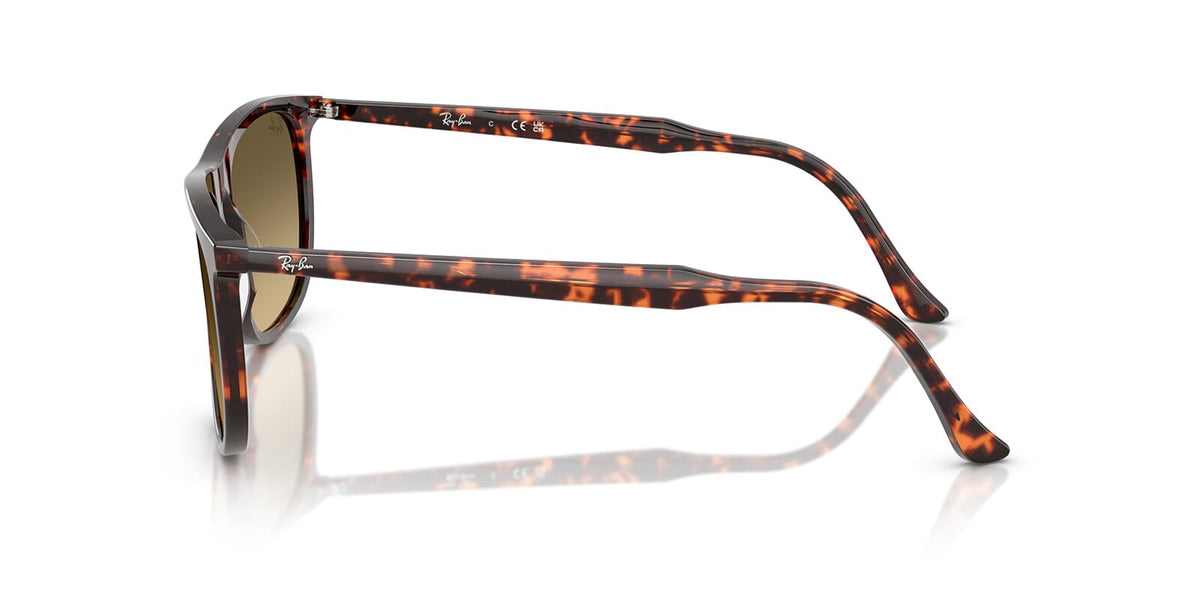 Ray-Ban RB 2216 1429/0A Sunglasses