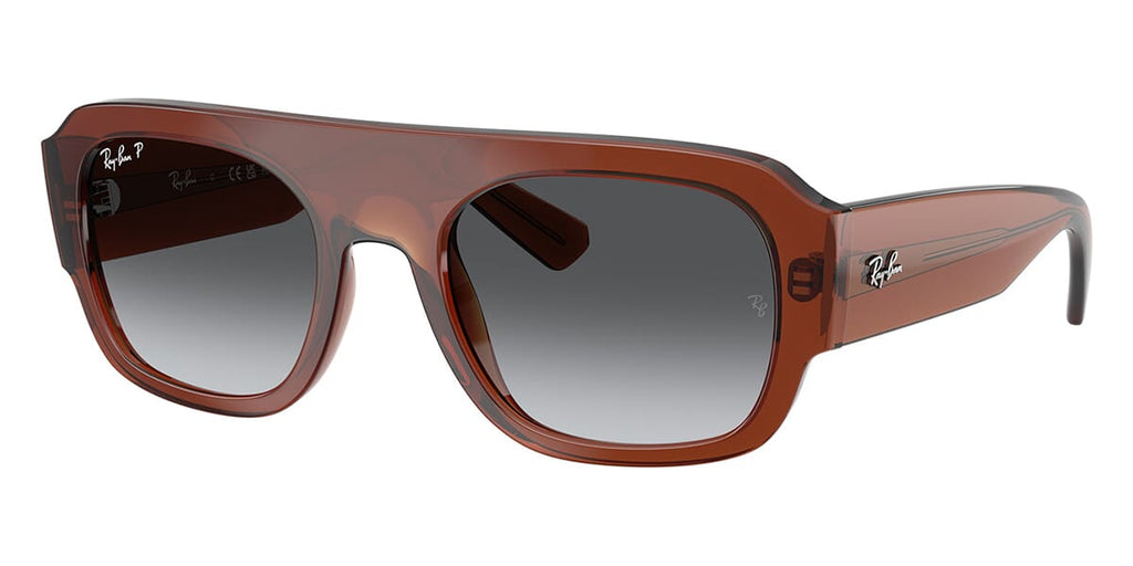 Ray-Ban RB 2218 6678/T3 Polarised Sunglasses
