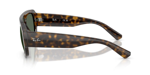 Ray-Ban RB 2218 6790/71 Sunglasses