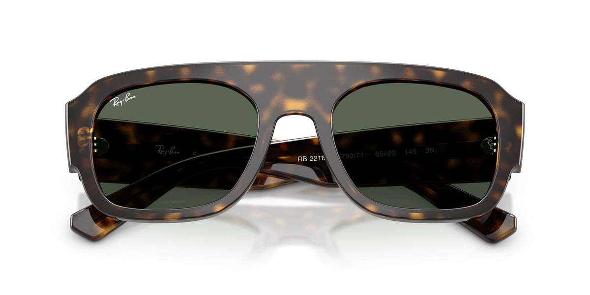 Ray-Ban RB 2218 6790/71 Sunglasses