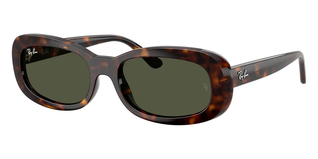 Ray-Ban RB 2221 902/31 Sunglasses