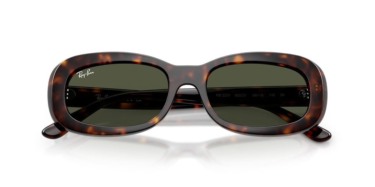 Ray-Ban RB 2221 902/31 Sunglasses