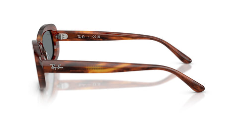 Ray-Ban RB 2221 954/62 Sunglasses