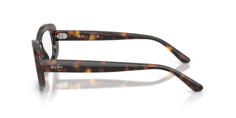 Ray-Ban RB 2221V 2012 Glasses