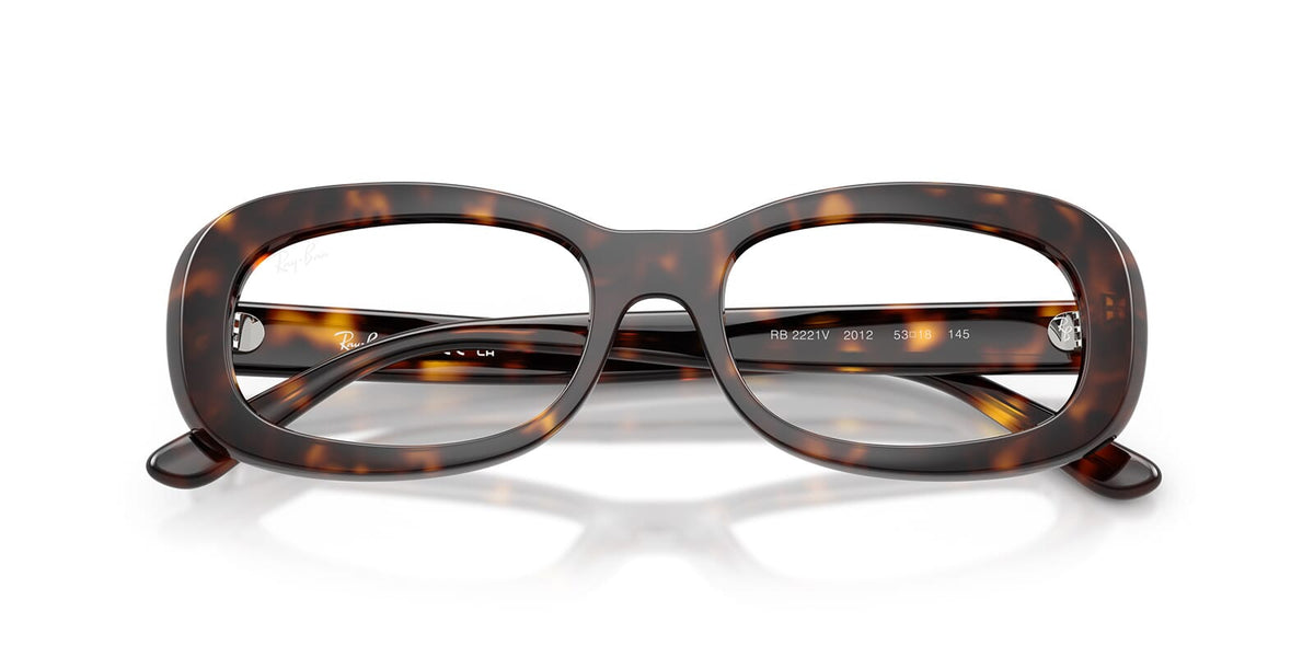 Ray-Ban RB 2221V 2012 Glasses
