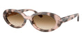 Ray-Ban RB 2223 1449/51 Sunglasses