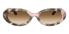Ray-Ban RB 2223 1449/51 Sunglasses