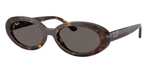 Ray-Ban RB 2223 902/B1 Sunglasses