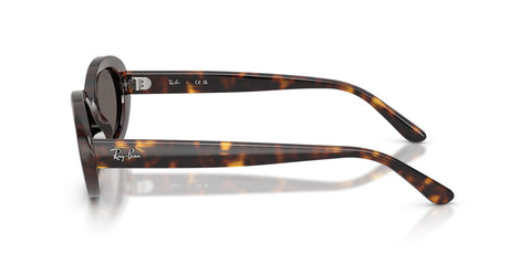 Ray-Ban RB 2223 902/B1 Sunglasses