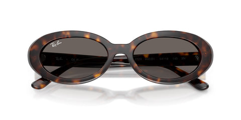 Ray-Ban RB 2223 902/B1 Sunglasses