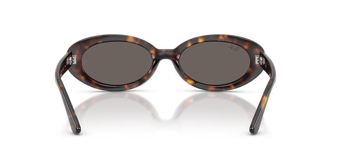 Ray-Ban RB 2223 902/B1 Sunglasses