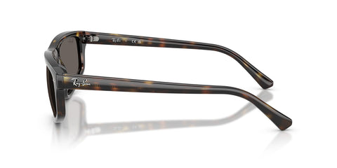 Ray-Ban RB 2225 710/B1 Sunglasses