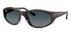 Ray-Ban RB 2228 710/S3 Sunglasses