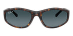 Ray-Ban RB 2228 710/S3 Sunglasses