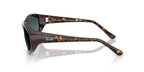 Ray-Ban RB 2228 710/S3 Sunglasses