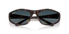Ray-Ban RB 2228 710/S3 Sunglasses