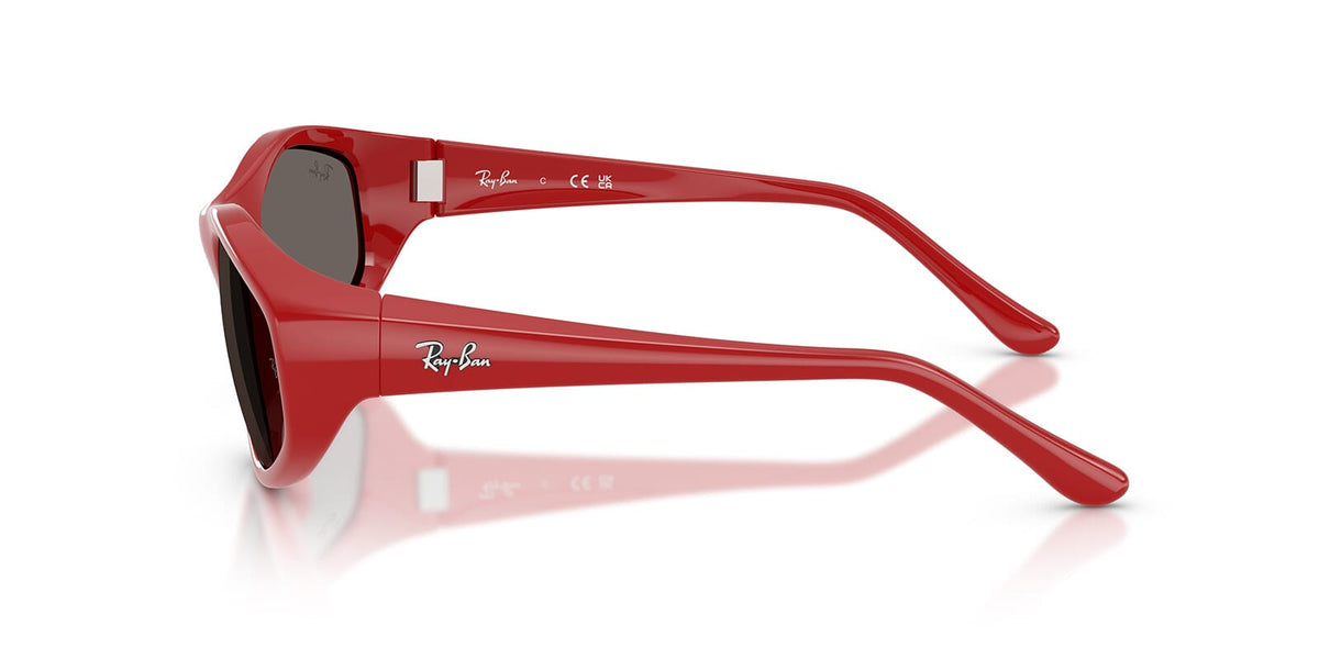 Ray-Ban RB 2228 764/B1 Sunglasses